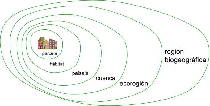 escalas inmersion.esp
