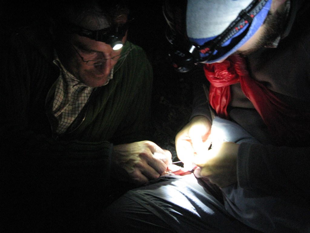 Las aves marinas y la catástrofe del&nbsp;Prestige