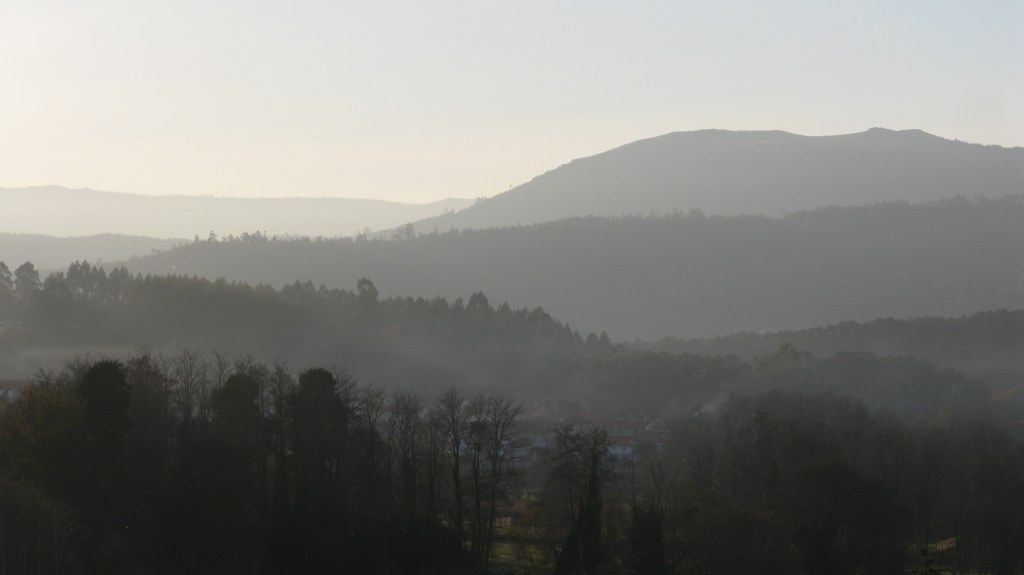 inmersión ecológica