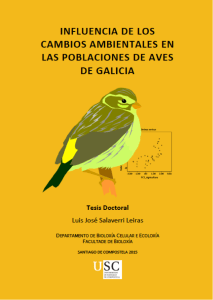 portada tese Salaverri