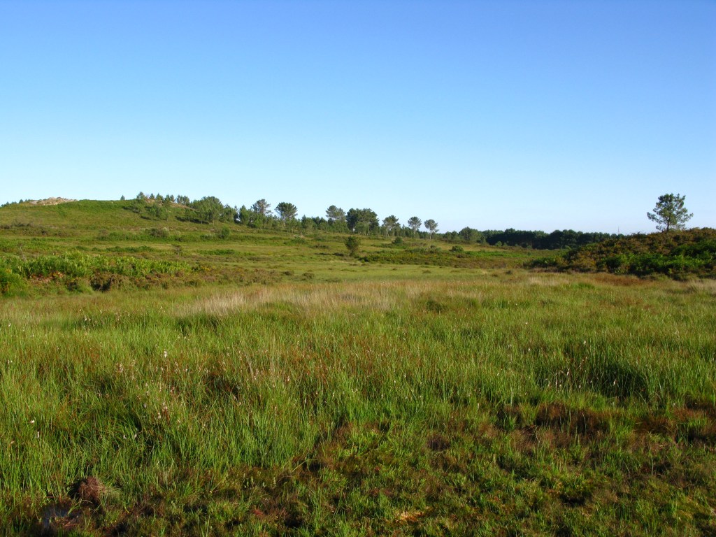 Inventario de biodiversidad