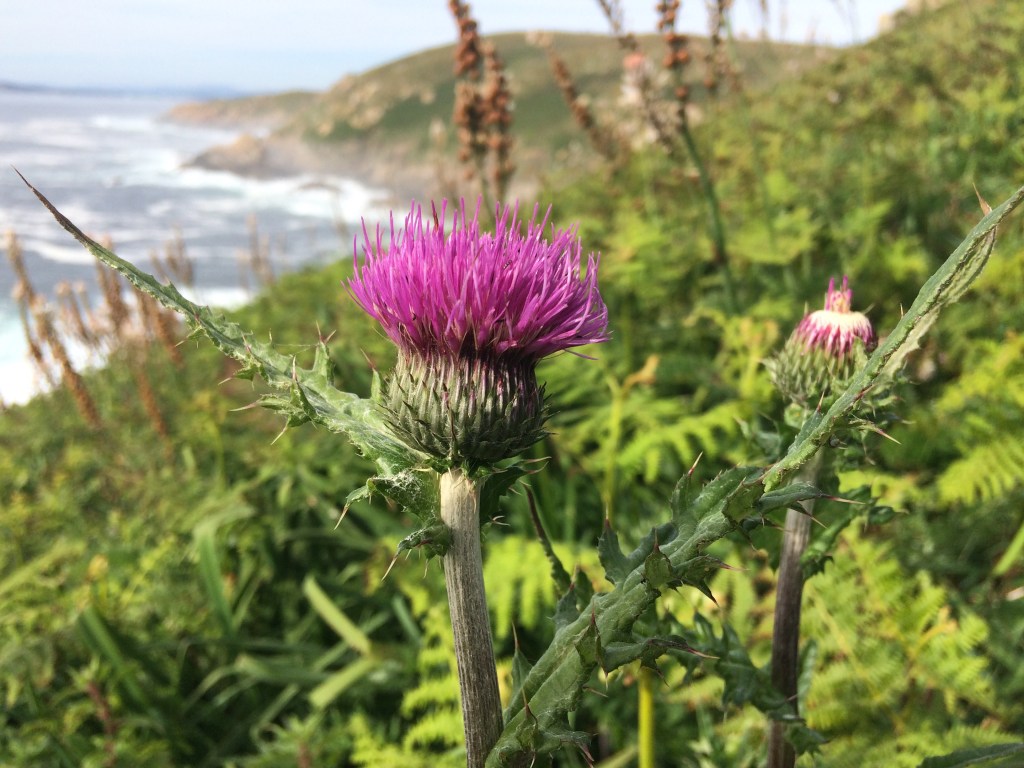 Preparation of an European Project (Interreg&nbsp;AA)