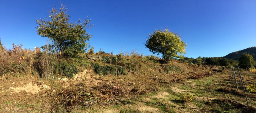 Fomento da biodiversidade nunha finca&nbsp;experimental