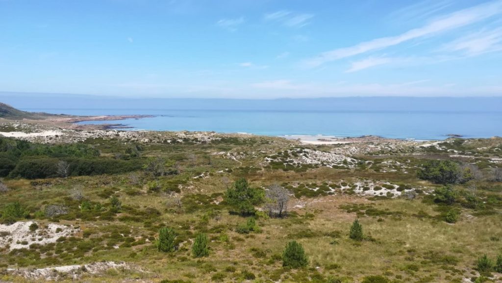 Censo e cartografía da camariña, unha planta endémica das dunas ibéricas&nbsp;atlánticas