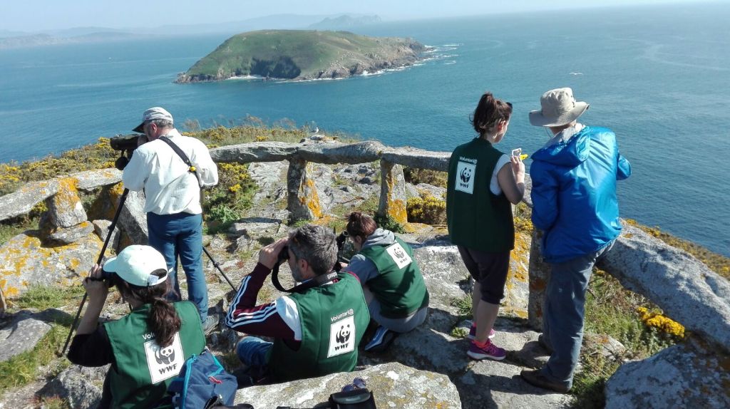 Asesoría y supervisión científico-técnica para campañas de voluntariado de&nbsp;WWF