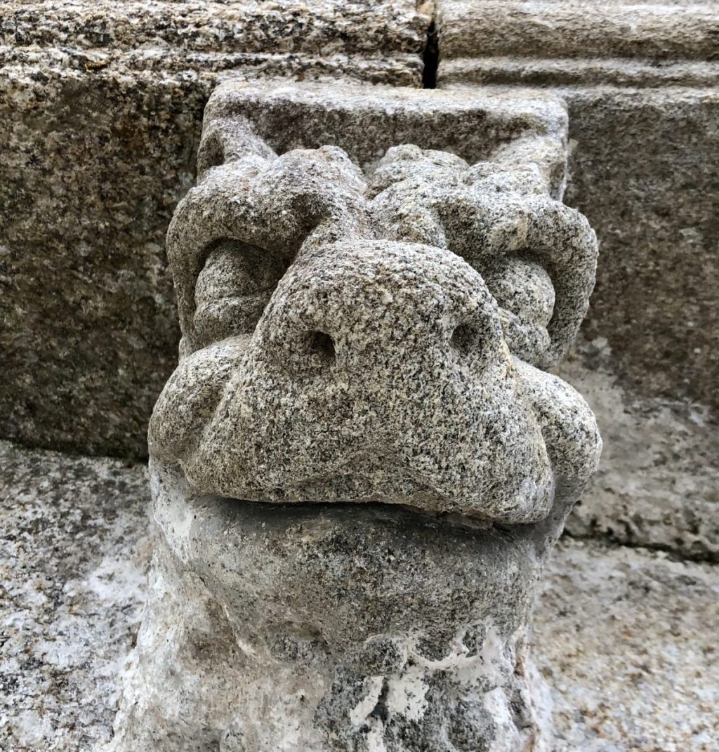 Mitigación del impacto sobre aves y quirópteros de las obras de la Catedral de&nbsp;Santiago