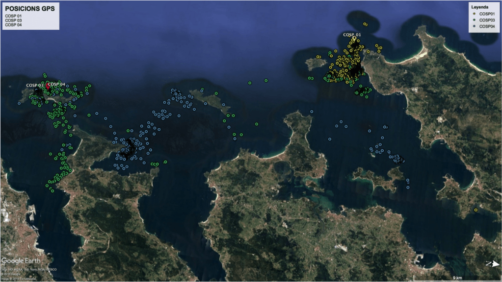 Seguimento remoto de aves&nbsp;mariñas